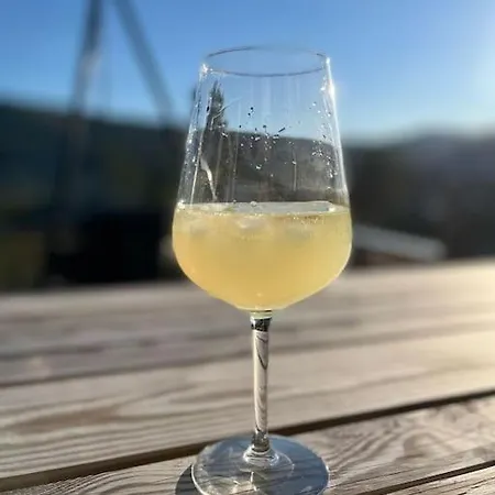 Modern Cabin, Great View, Sunny, 2ba, 4br Feriehus