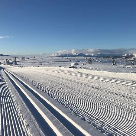 Feriehus Modern Cabin, Great View, Sunny, 2ba, 4br