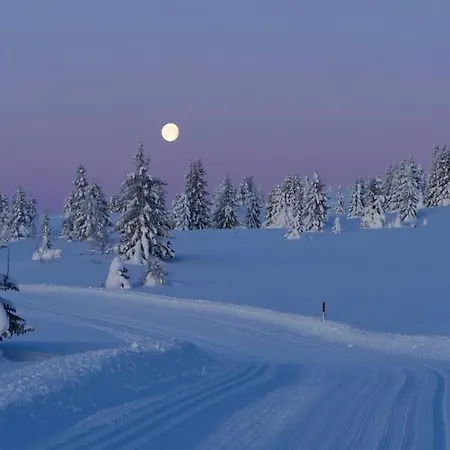 Modern Cabin, Great View, Sunny, 2ba, 4br Feriehus Hemsedal