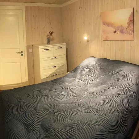 度假居 Modern Cabin, Great View, Sunny, 2ba, 4br 海姆瑟达尔
