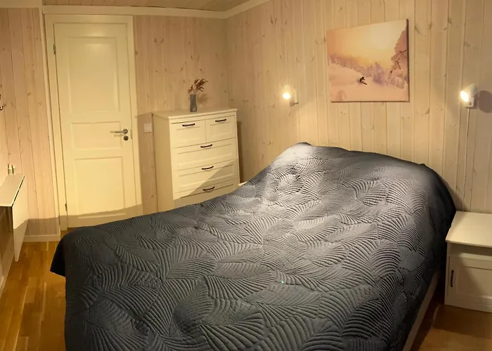 度假居 Modern Cabin, Great View, Sunny, 2ba, 4br 海姆瑟达尔