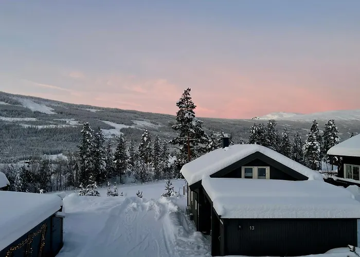 Vakantiehuis Modern Cabin, Great View, Sunny, 2ba, 4br